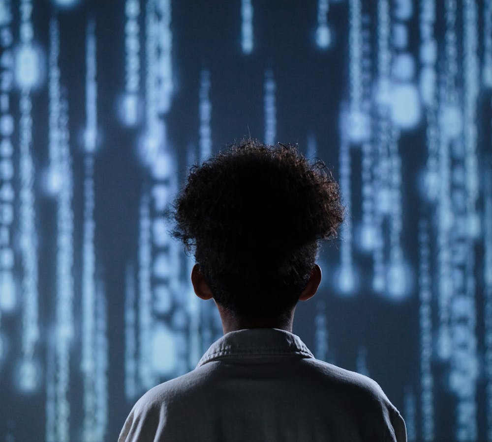 pexels-photo-9783353-3